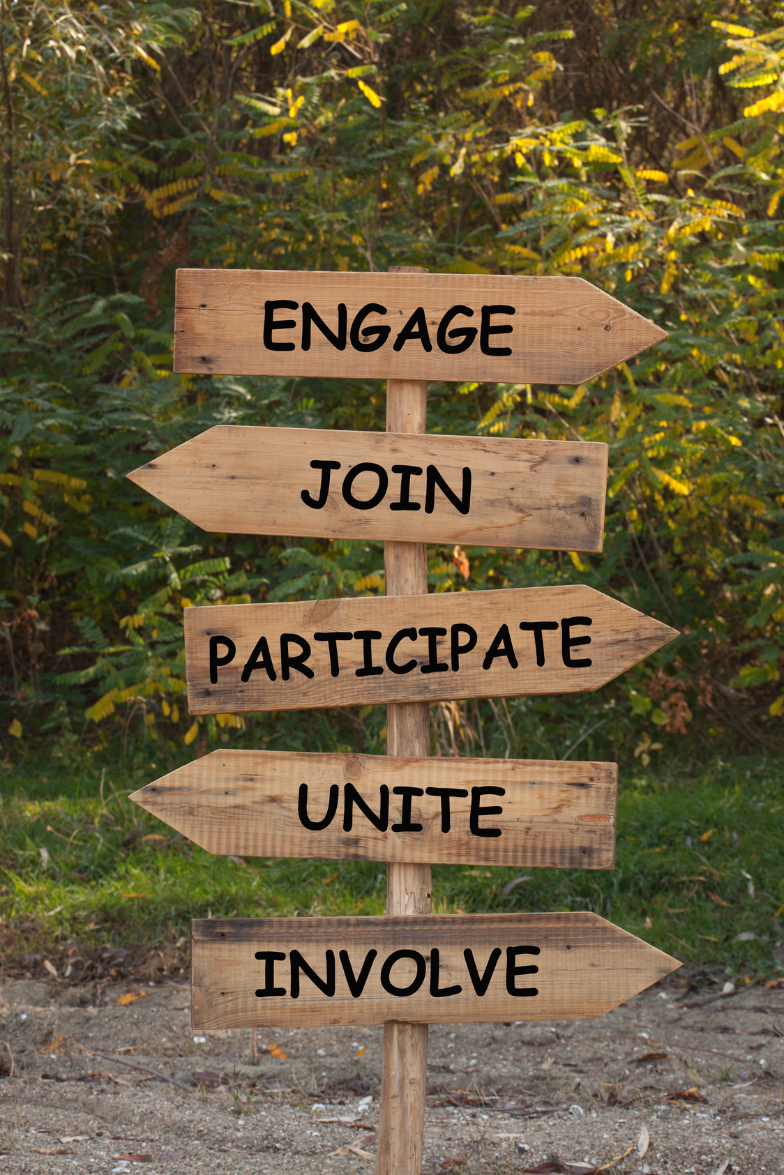 Engage Join Participate Involve